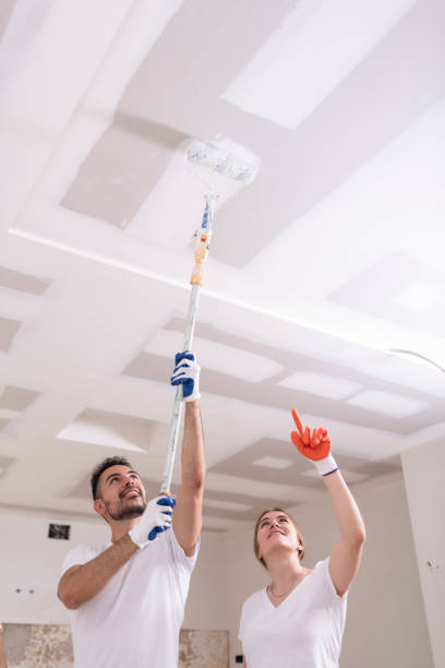 Best Ceiling Drywall Installation  in Gering, NE